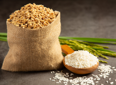 Untitled design (41)